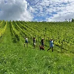 Holiday home Winzerhaus Im Himmelreich