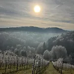 Winzerhaus Im Himmelreich Holiday home *