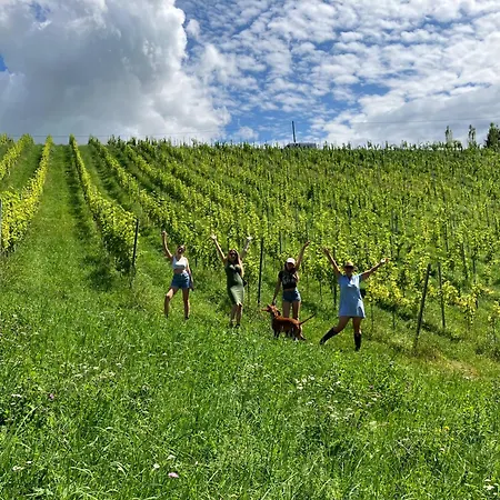 Сasa de vacaciones Winzerhaus Im Himmelreich