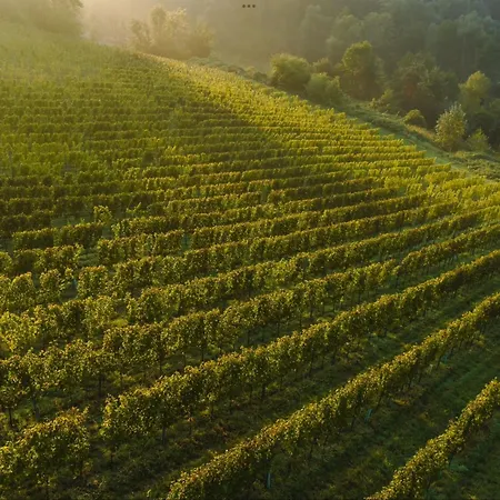 Casa vacanze Winzerhaus Im Himmelreich *