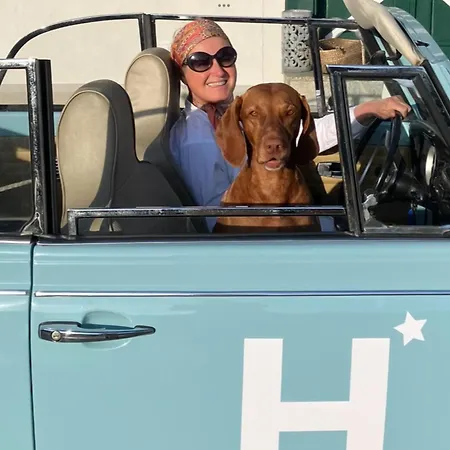 Winzerhaus Im Himmelreich غامليتز