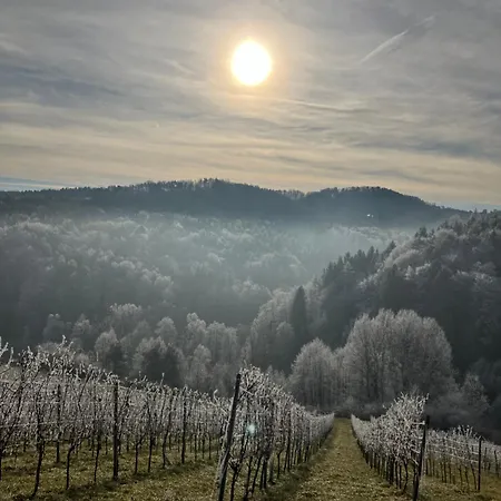 Winzerhaus Im Himmelreich Сasa de vacaciones *