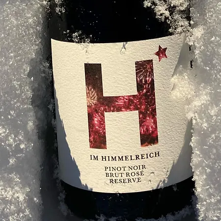 Winzerhaus Im Himmelreich بيت للعطل