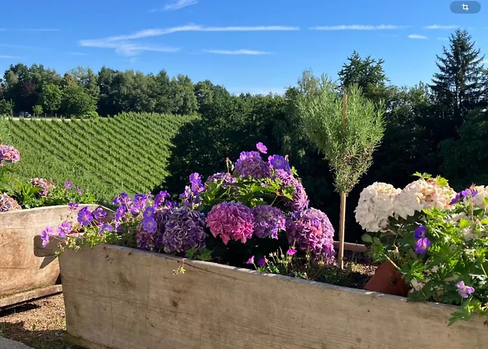 Winzerhaus Im Himmelreich