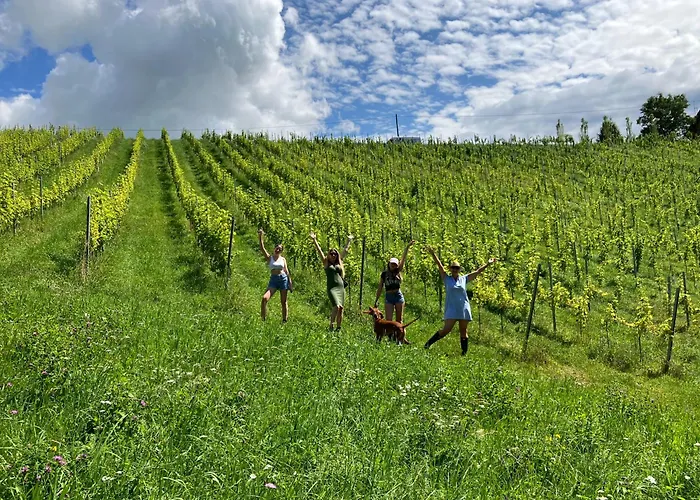Dom wakacyjny Winzerhaus Im Himmelreich