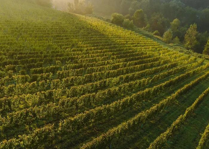 Vakantiehuis Winzerhaus Im Himmelreich *