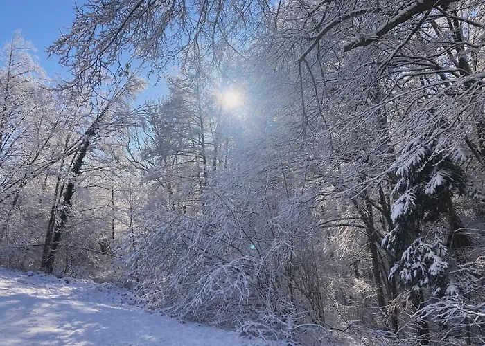 Winzerhaus Im Himmelreich Vakantiehuis