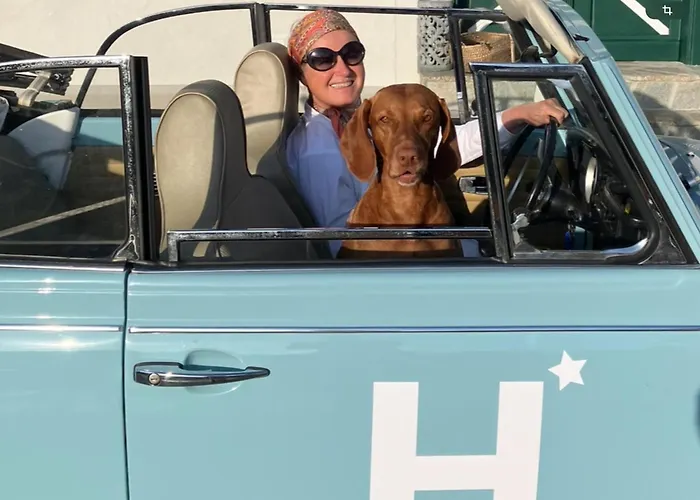 Winzerhaus Im Himmelreich غامليتز