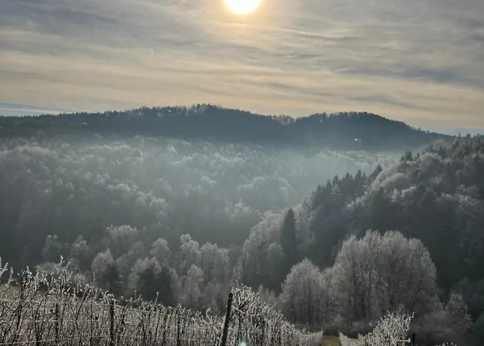 Winzerhaus Im Himmelreich Vakantiehuis *