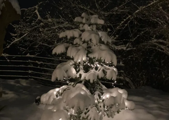 بيت للعطل Winzerhaus Im Himmelreich غامليتز